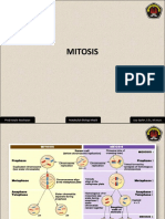 Mitosis