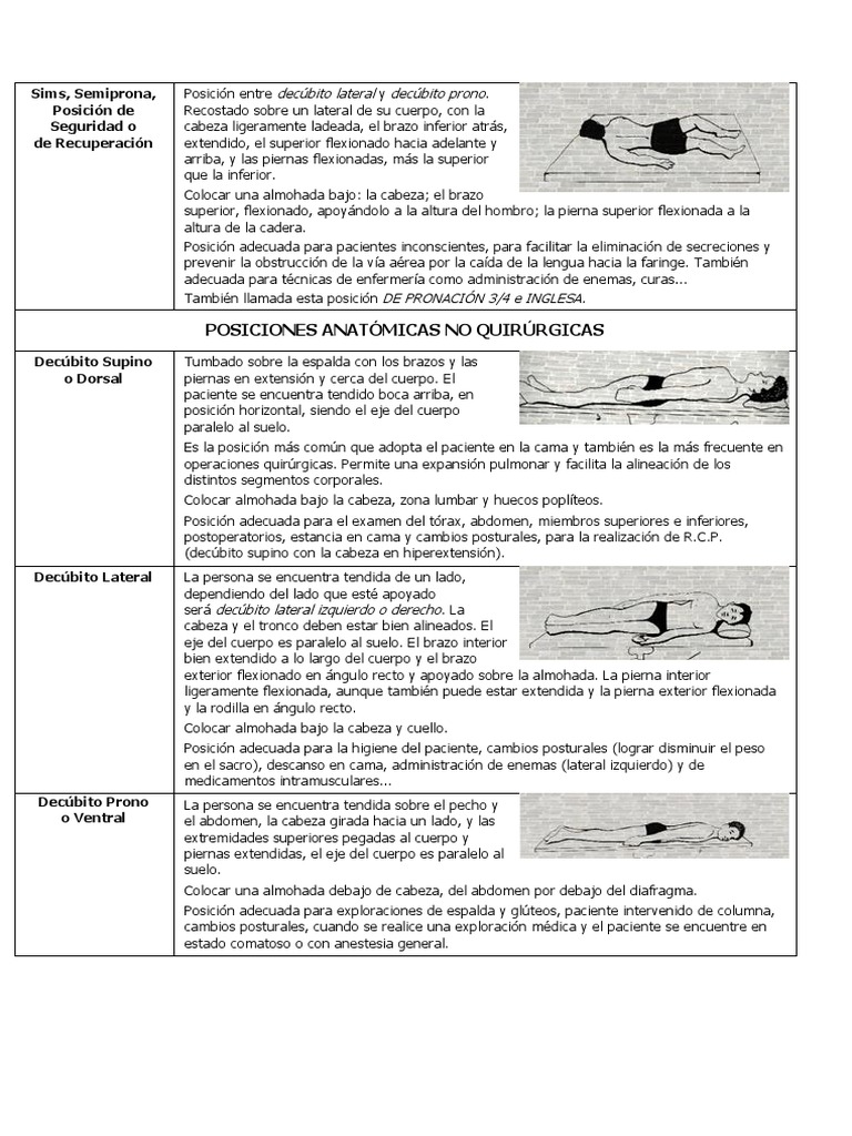 Posiciones Anatómicas para Pacientes | PDF | Términos anatómicos de ...