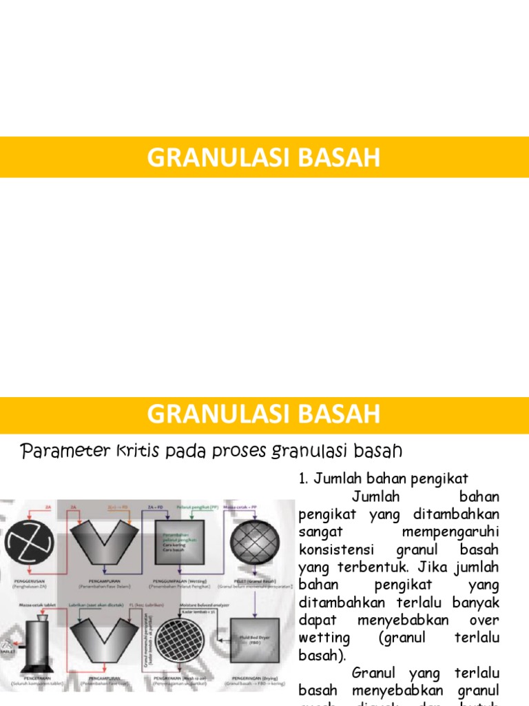 Granulasi basah pdf