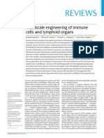 Reviews: Multiscale Engineering of Immune Cells and Lymphoid Organs