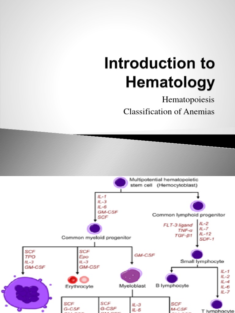 Overview of Anemia Classification | PDF | Anemia | Red Blood Cell