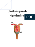 Factores que afectan el volumen de filtración glomerular (VFG