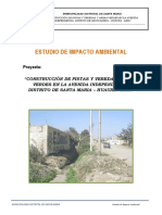 c) Informe de Impacto Ambiental