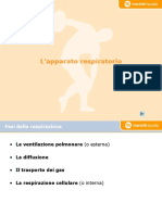 APPARATO_RESPIRATORIO.pdf