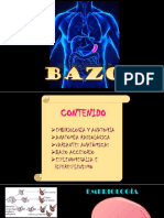 BAZO