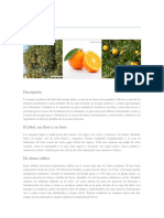 Naranja_monografias.pdf