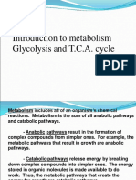 Introduction To Metabolism Glycolysis and T.C.A. Cycle