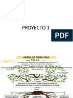 ARBOL DE PROBLEMAS p1.pptx