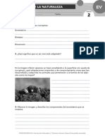 cn2.pdf