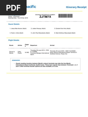 Flight Itinerary