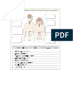 Evaluación Sistema Endocrino