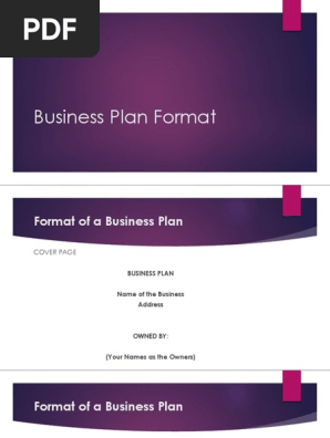 Business Plan Format