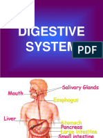 Digestive System