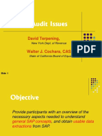 152058579-SAP-Audit-Issues.pdf