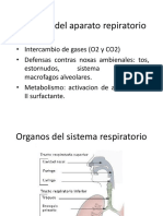 Sistema Respiratorio