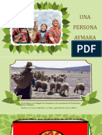 Cultura Aymara en