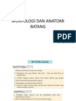 Morfologi Dan Anatomi Batang Pptx