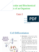 Molecular Basis of Organism Differentiation at Cell Level