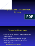 NEOPLSMA URO,FK UMS 2010.ppt