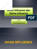 AvianFlu Dan Swineflu