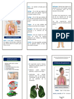 El Sistema Respiratorio Trip 2015 PDF