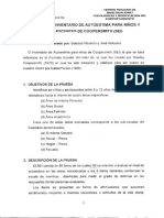 Manual Autoestima Coopersmith PDF
