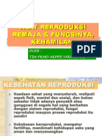 Alat Reproduksi & Fungsi, Kehamilan