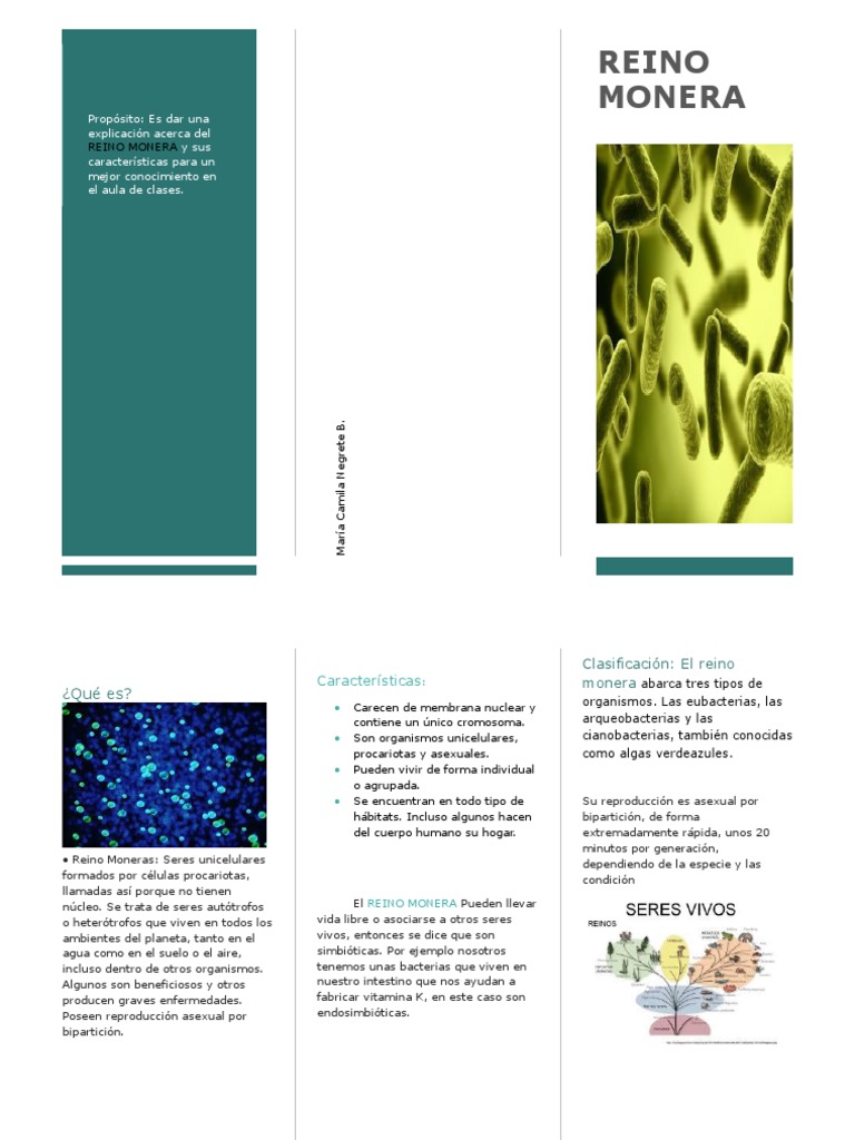 Folleto Reino Monera | PDF