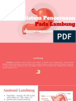 Sistem Pencernaan Pada Lambung