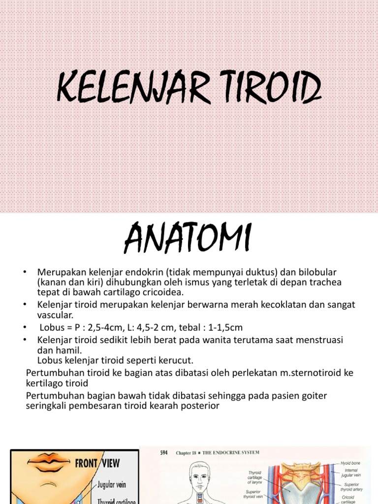 Mengenal Kelenjar Tiroid, Fungsi, Dan Penyakit Yang Berkaitan – JVGA