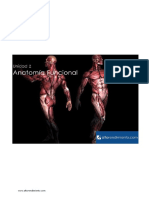 Unidad_2_Anatomia_Funcional22.pdf
