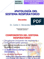 FSP Del S Respiratorio