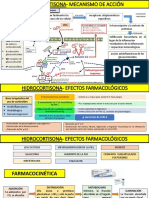 HIDROCORTISONA