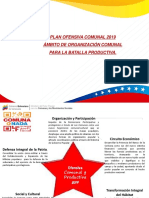 Ofensiva Comunal 2019 PDF