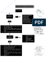 Penangana Atonia Uteri Dengan Kbi & Kbe