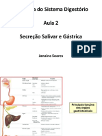 Sistema Digestório- Secreçăo Salivar e Gástrica