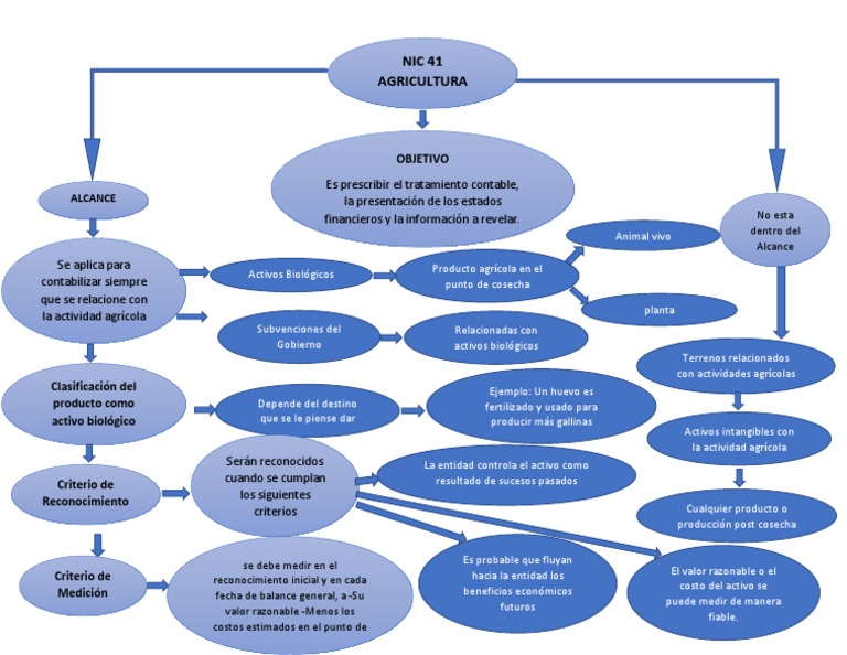 Mapa Conceptual NIC 41 Agricultura Activo intangible