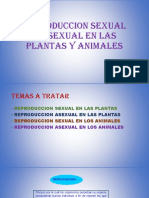 Reproducción sexual y asexual en plantas y animales