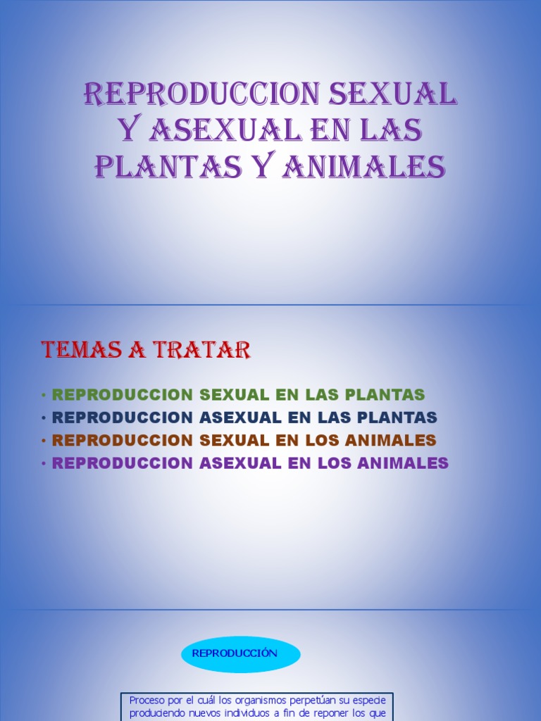 Reproducción Sexual y Asexual en Organismos | PDF