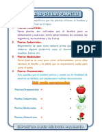 Ficha de Las Tipos de Plantas