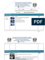 Formato_GuionVideo Primera Revision