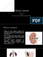 Kidney Cancer: Siddhi Andika