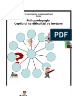 Proiectul_pentru_Invatamantul_Rural_Curs.pdf