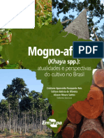 Mogno-Africano-08-10-2019