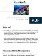 Coral Reef Final Presentation-Final