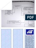 Trifoliar Tamaño Carta