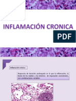 Inflamción Cronica