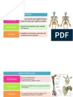 Osteología