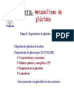 T3-glicolisis-pagina.pdf