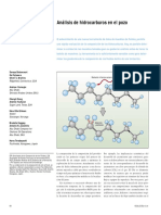 ANALISIS DE HCB EN EL POZO.pdf